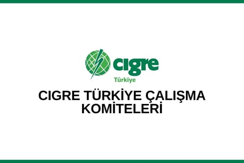 Türkiye’yi CIGRE’de Temsil Eden Çalışma Komite ve Grup Üyeleri Ankara’da Bir Araya Geldi